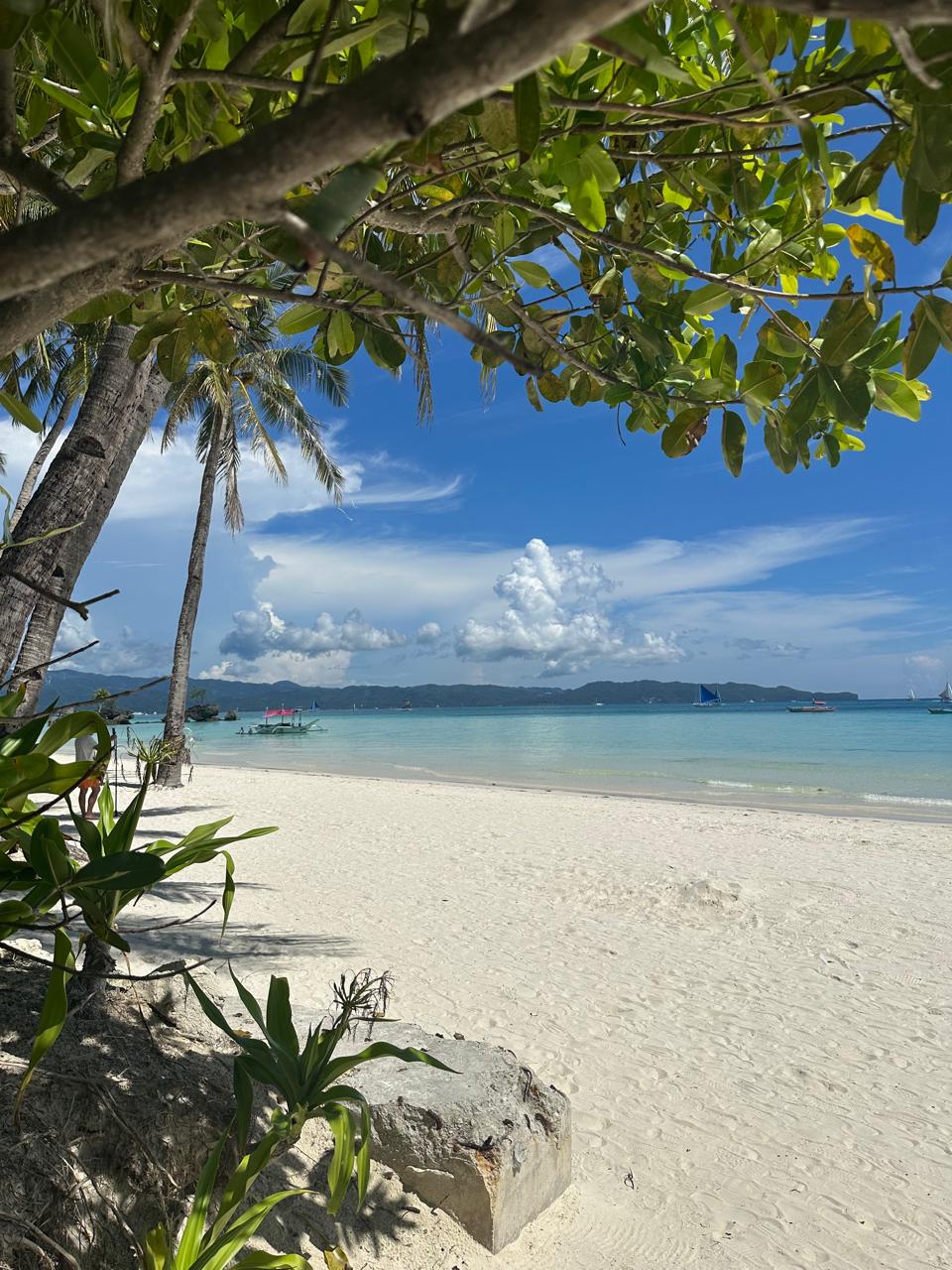 White Beach & Private Sailing